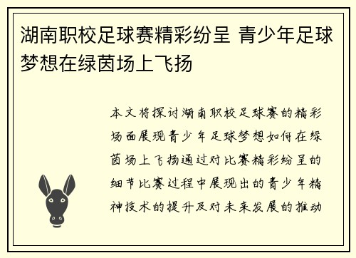 湖南职校足球赛精彩纷呈 青少年足球梦想在绿茵场上飞扬