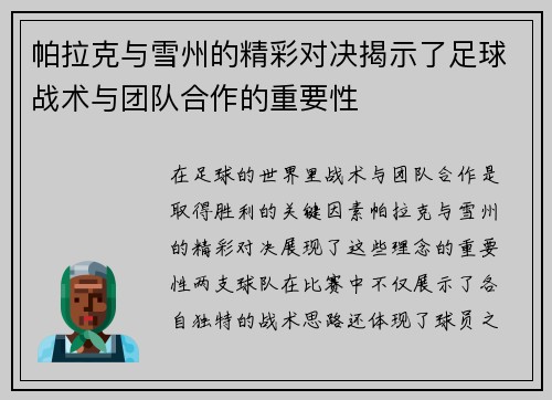 帕拉克与雪州的精彩对决揭示了足球战术与团队合作的重要性