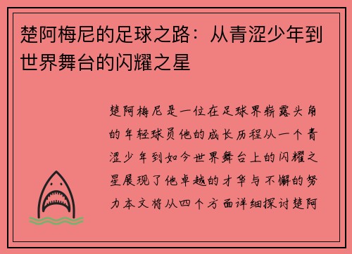 楚阿梅尼的足球之路：从青涩少年到世界舞台的闪耀之星